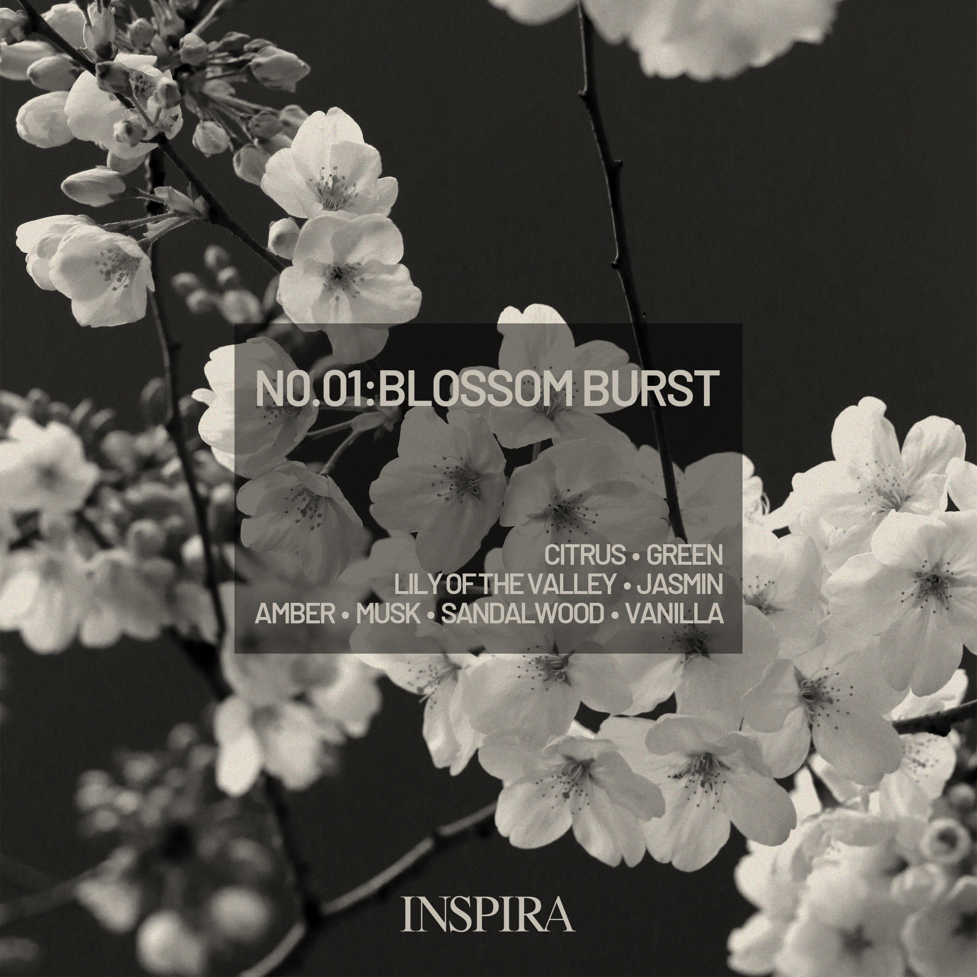 Blossom_Burst_Association