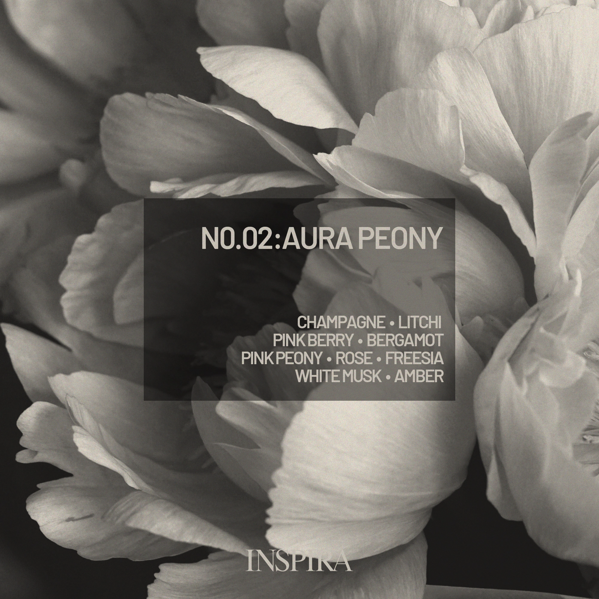 Aura_Peony_Association